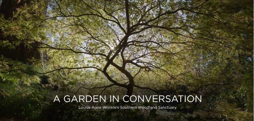 A garden in conversation film cover.