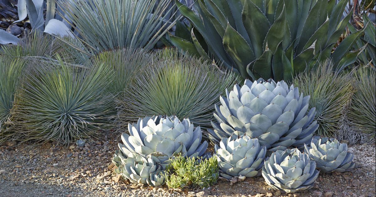 Three Decades of Garden Magic: Celebrating Garden Conservancy Open Days
